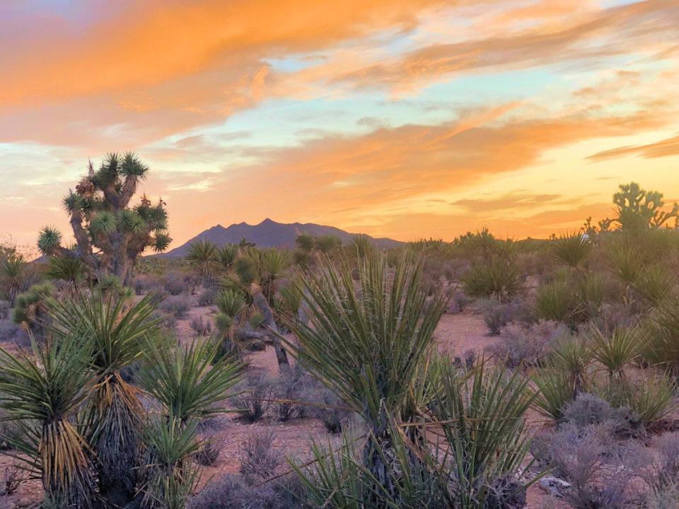 The sun sets over the proposed Avi Kwa Ame National Monument in southern Nevada.