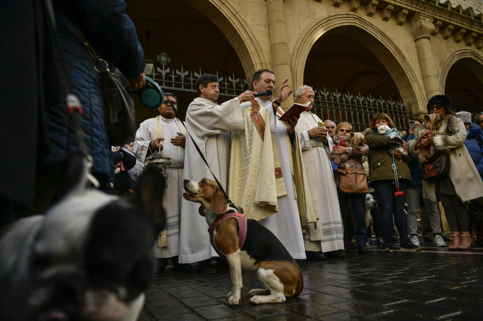 A priest blesses people with their pets outside of the San Nicolas church in Pamplona on Jan. 17, 2019. (Photo: Alvaro Barrientos/AP)