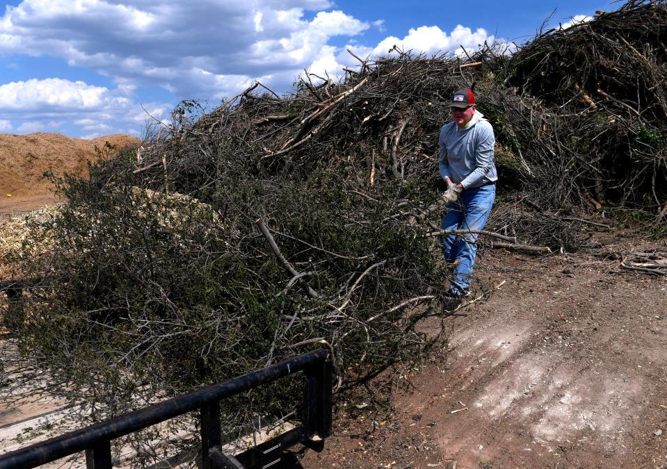John Lewis unloads a pile of branches from his trailer Wednesday at the Abilene Brush Center. Yard waste like limbs and brush are ground into mulch which is free for the public to use.