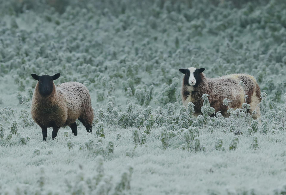 <em>Brrrrrr – temperatures are set to plummet this weekend (Pictures: PA)</em>