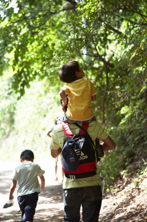 Take the family walk or hike.