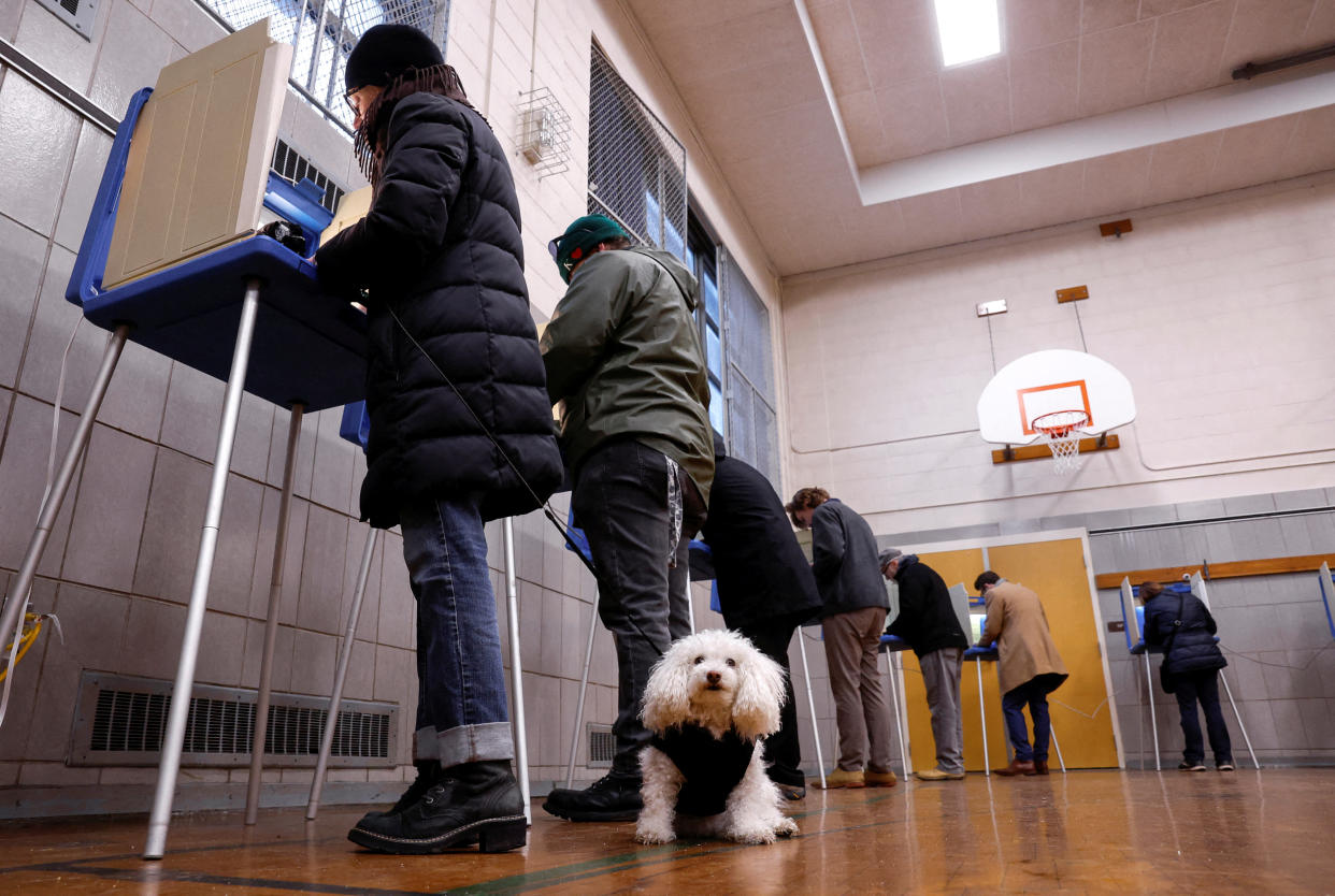 A small white bichon frisé waits under the booth where Barbara Wood is voting, with six other voters in the gym at booths behind her. 