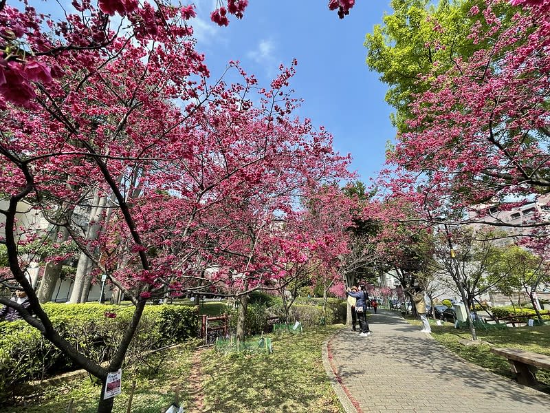 桃園中壢｜莒光公園