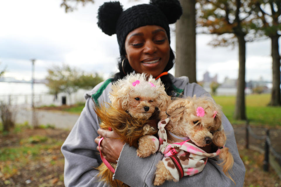 NYC pups in cute and creative costumes for annual Halloween Dog Parade