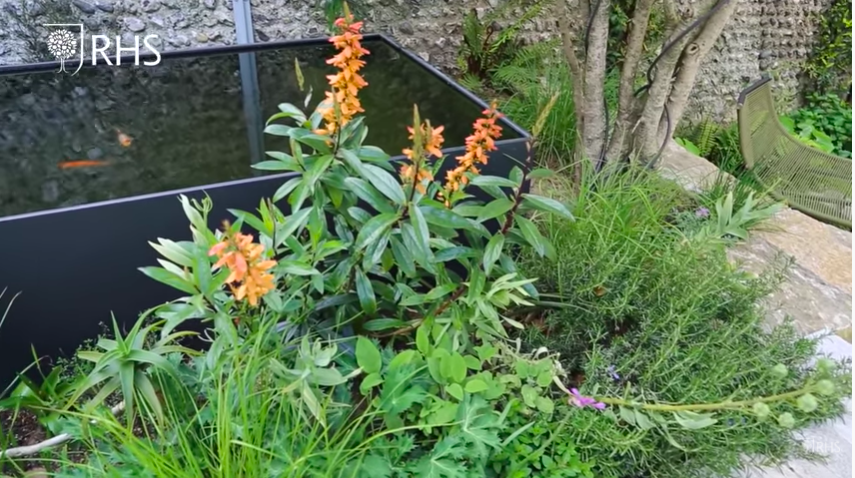<p>Great for wildlife and a fantastic focal point in a garden, a pond was at the top of Andy's list when he was planning his garden design. </p><p>'I grew up in a garden with a pond so I just had to have one in my own garden, it's one of the reasons I got into gardening in the first place,' says Andy. 'The brilliant thing about that is it masks the sound of traffic here in the town and you know all the neighbours are pretty close together so it cuts out some of that noise. </p><p>'This pond is about half a meter high, some of it's buried in the ground so it’s actually deeper than it looks, but it's just high enough so cats can’t fish into it from here or down from the rocks, so it just protects the fish a little bit.'</p>