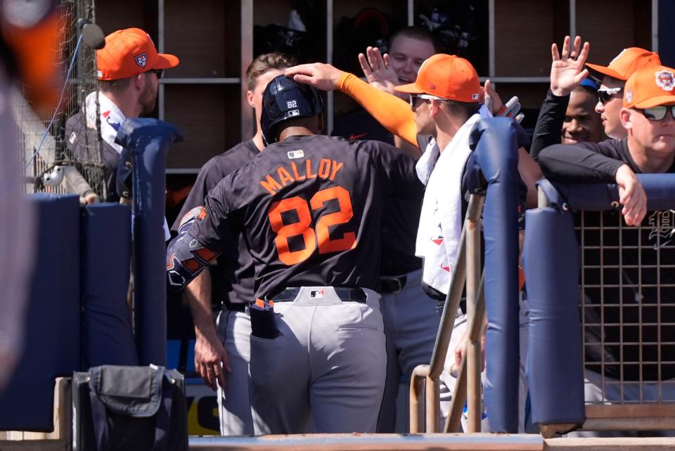 Detroit Tigers Justyn-Henry Malloy (82) is greeted in the dugout after his solo homer in the third inning of a spring training baseball game against the Tampa Bay Rays at Charlotte Sports Park in Port Charlotte, Florida, on Sunday, Feb. 25, 2024.