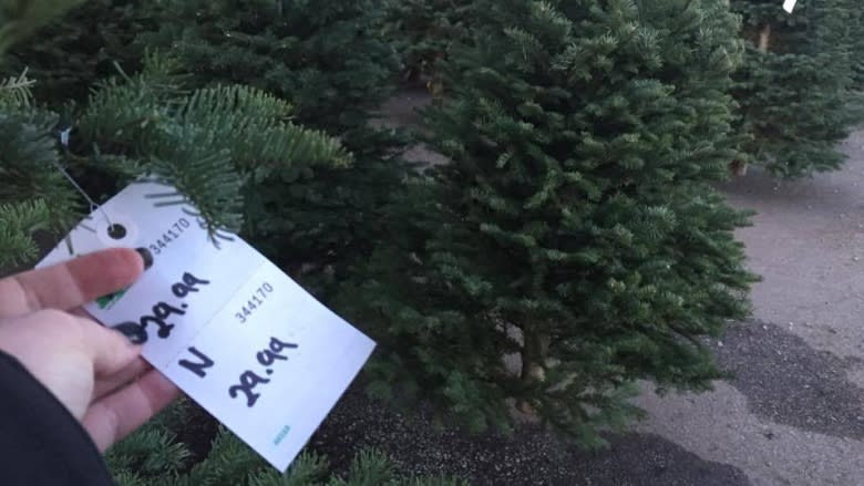 U.S. Christmas tree shortage, but Charlie Brown tree not the only option