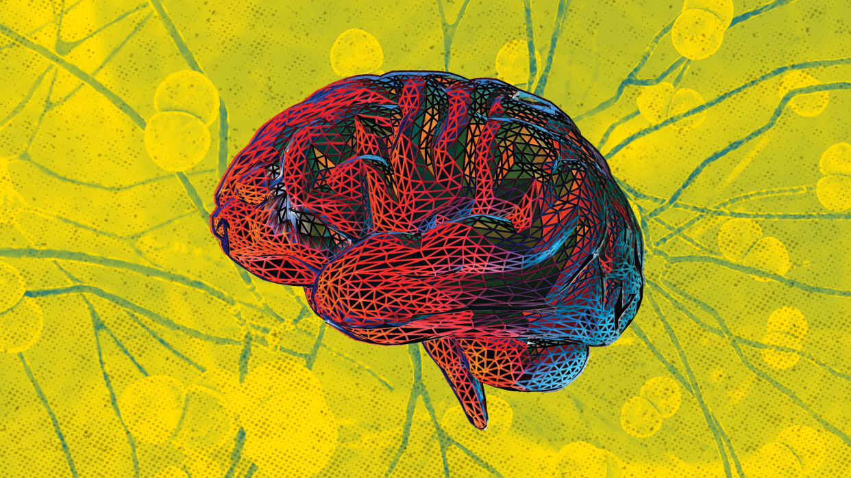 Bacterial meningitis represented by brain in red and blue on a yellow background.