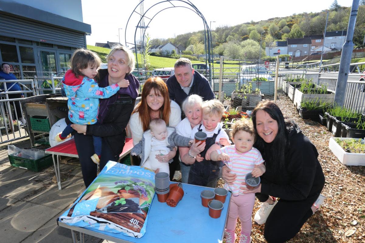 Branchton Community Centre toddlers grow sunflowers <i>(Image: George Munro)</i>