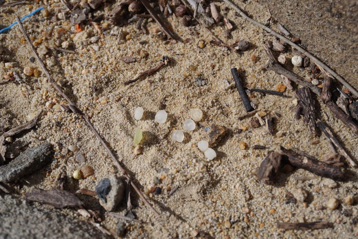 <a href="https://www.shutterstock.com/es/image-photo/nurdles-plastic-pellets-on-beach-sand-2199124215" rel="nofollow noopener" target="_blank" data-ylk="slk:Images by KT / Shutterstock;elm:context_link;itc:0;sec:content-canvas" class="link ">Images by KT / Shutterstock</a>