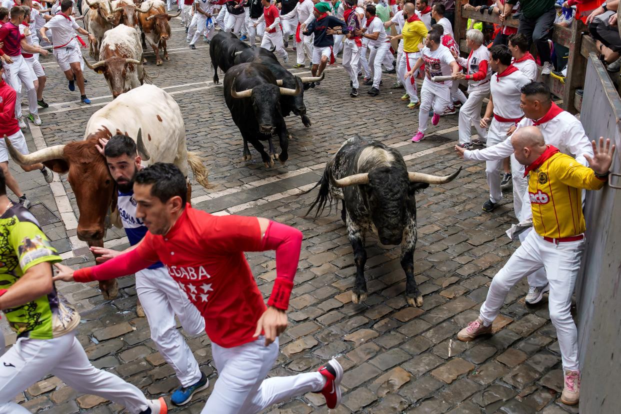 Participants surround and run alongside bulls charging down a street in Pamplona, Spain.