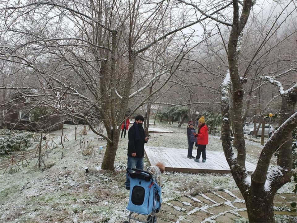 快新聞／追雪族留意！ 氣溫回暖高山雪融 南橫公路156路樹倒塌