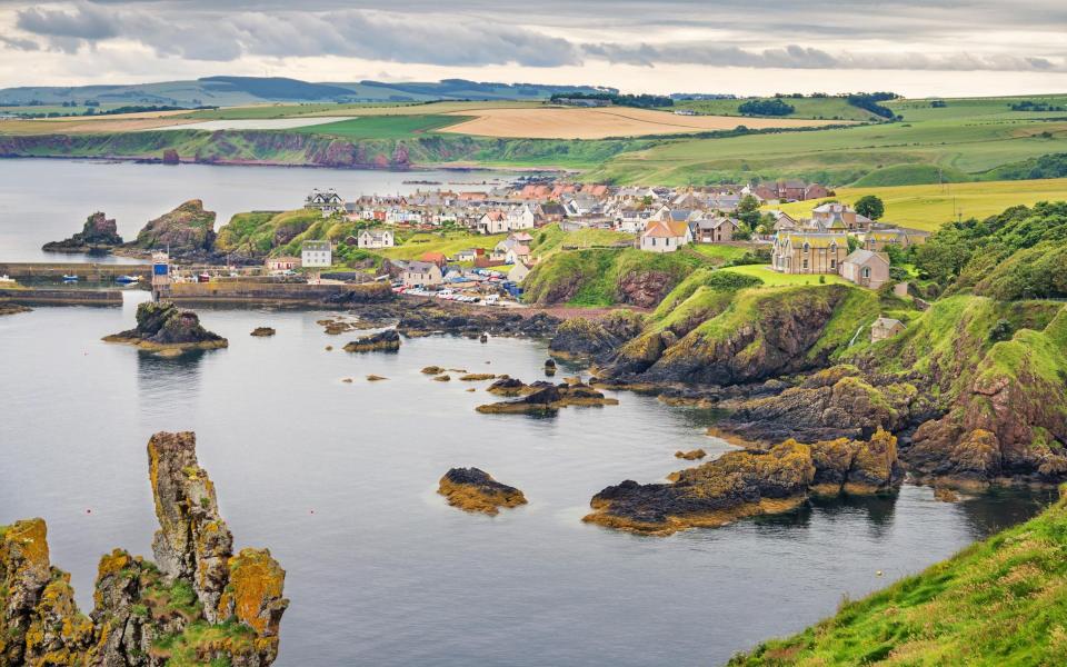 St Abb’s Head, Scotland - Getty