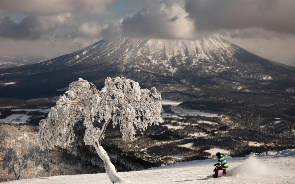 niseko - Jae C Hong/AP