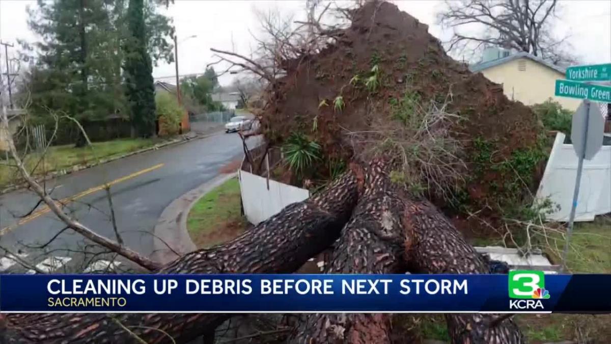 Sacramento storm clean up continues with massive trees toppled