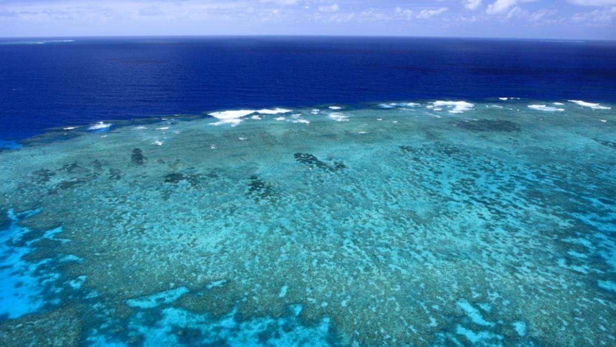 Warmer sea temperatures leads to the bleaching of coral reefs, seen here in the Great Barrier Reef.