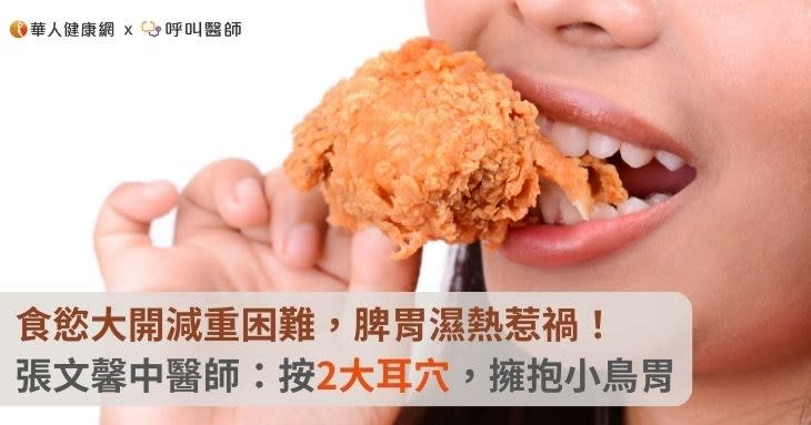 食慾大開減重困難，脾胃濕熱惹禍！張文馨中醫師：按2大耳穴，擁抱小鳥胃