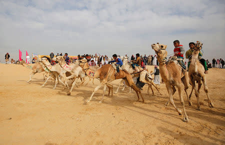 Jockeys, most of whom are children, compete on their mounts at the starting line during the opening of the International Camel Racing festival at the Sarabium desert in Ismailia, Egypt, March 21, 2017. Picture taken March 21, 2017. REUTERS/Amr Abdallah Dalsh