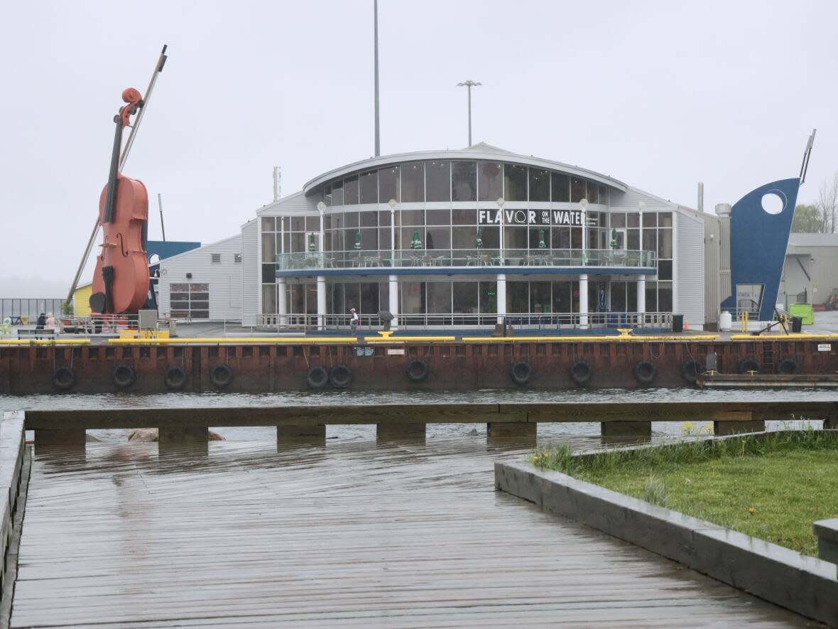 Some Sydney, N.S., residents say they've detected a nasty smell on both sides of the harbour in recent days.   (Erin Pottie/CBC - image credit)