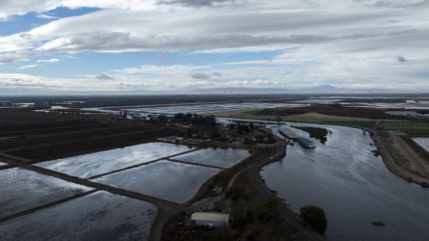 Stockton, CA - December 06: Flooded rice fields along the San Joaquin River on Wednesday, Dec. 6, 2023 in Stockton, CA. (Brian van der Brug / Los Angeles Times)