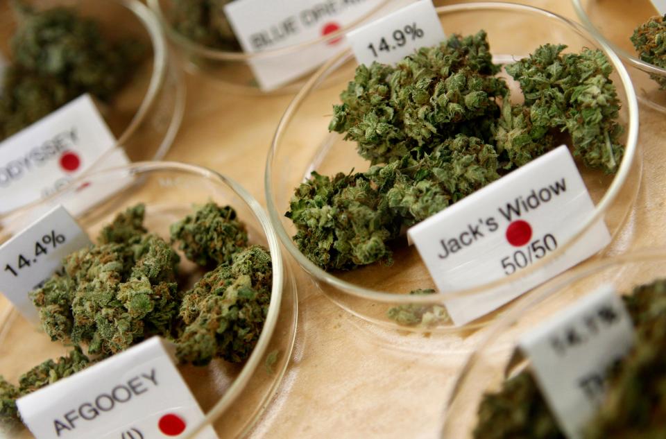 Marijuana buds, including their cost and degree of potency, are shown in a medical marijuana dispensary in Oakland, California on June 30, 2010.
