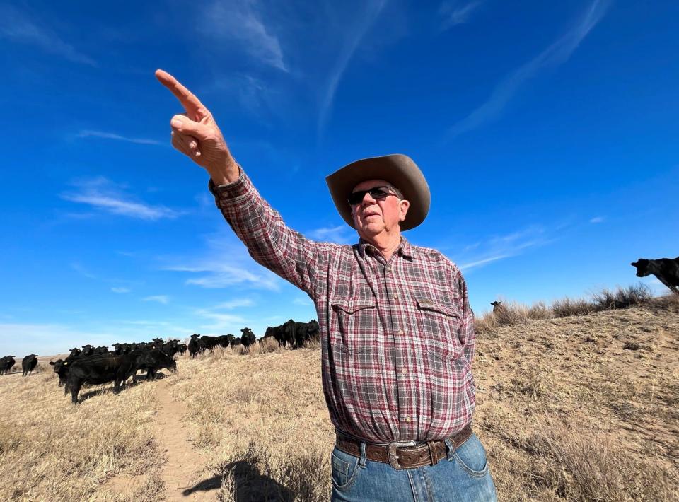 Rancher Bob Davies points toward the piece of land he renamed "Coyote Pasture" after losing several calves to attacks years ago.