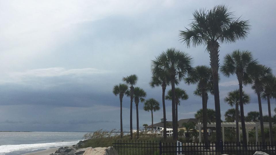 Groyne And Palm Trees Against Cloudy Sky At Seabrook Island