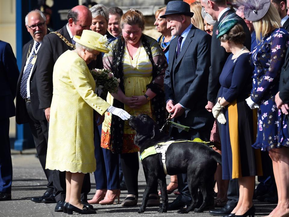 Queen Elizabeth pets a dog