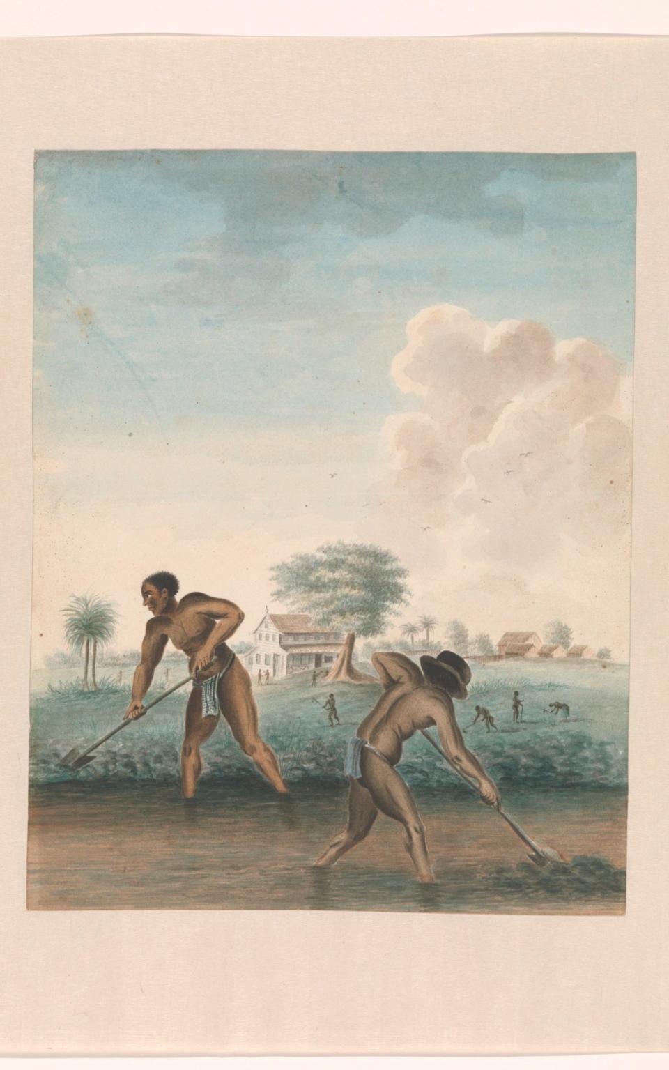 Enslaved men working on the fields in an 1850 paining by an unknown artist