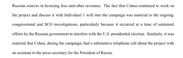 Mueller noted that Cohen's alleged discussions of the Moscow Project with Trump were especially concerning considering Russia's attempts to interfere with the election. (Photo: Special counsel's office)
