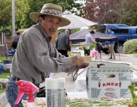 Chue Vang, who was a child soldier in Laos before moving to the United States in 1979, sells produce at a farmers' market in his adopted hometown of Missoula, Montana, U.S. August 9, 2016. REUTERS/Ellen Wulfhorst/Files