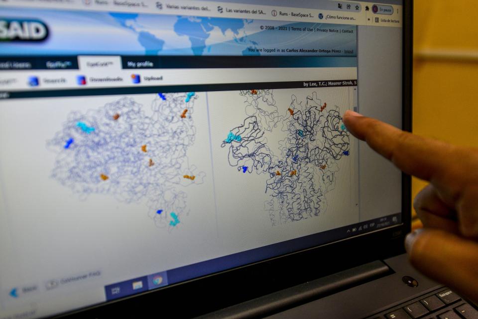 scientist pointing at computer screen with genetic information about the coronavirus on it