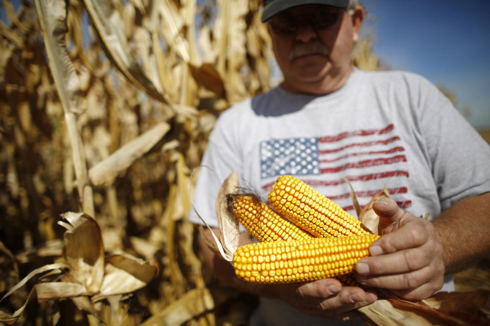 Corn farmer Illinois