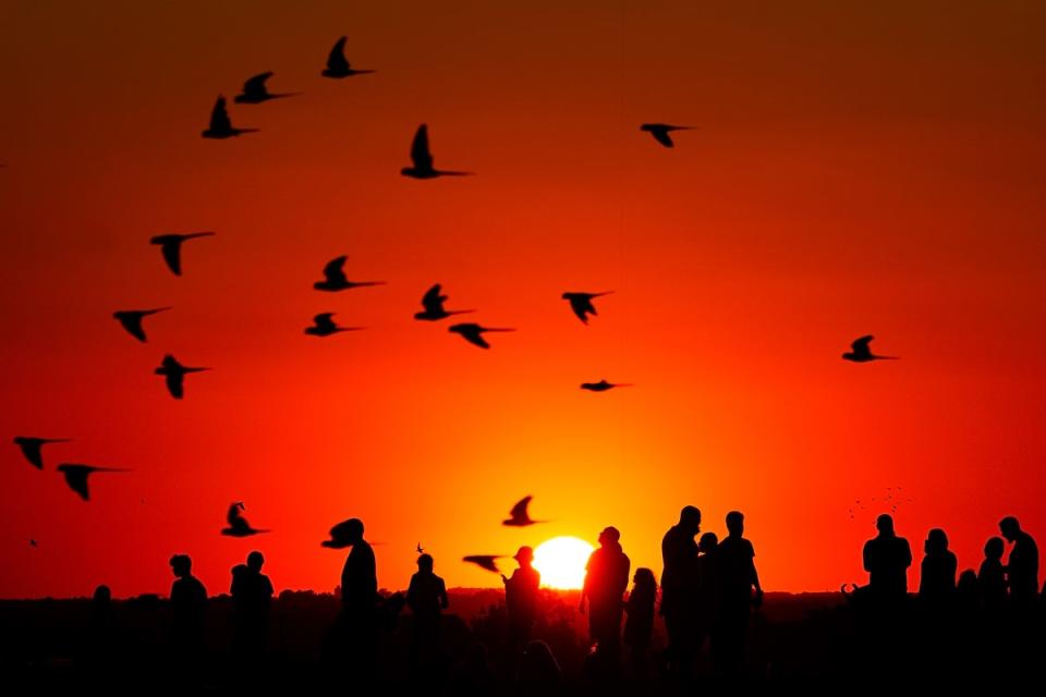 A crowd of people watch the setting sun from a hill in Ealing, west London during the heatwave (Victoria Jones/PA). (PA Wire)