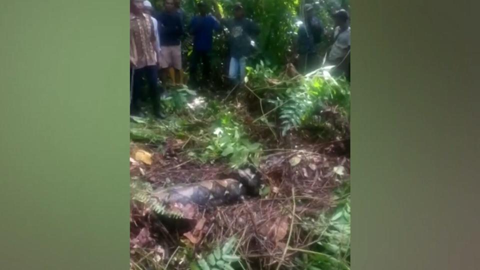 Authorities say a missing Indonesian grandmother was apparently eaten alive by 22-foot python.