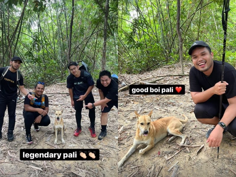 Meet Pali the dog who became a personal hiking guide for a group of Malaysian men. — Photo courtesy of Instagram/khairulaming