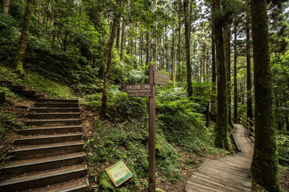 東眼山國家森林遊樂區（圖片來源：東眼山國家森林遊樂區）