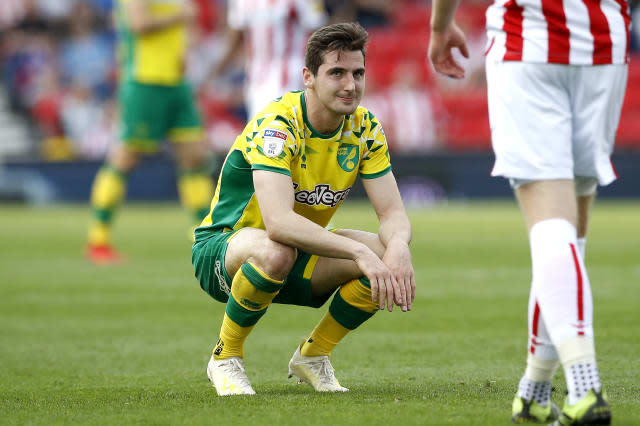 Norwich's Premier League promotion party put on hold