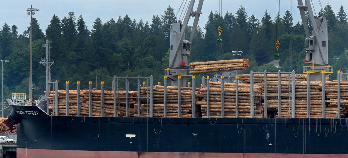 Loading operations near completion for the logship Global Forest at the Port of Olympia on July 24, 2023 Steve Bloom/sbloom@theolympan.com