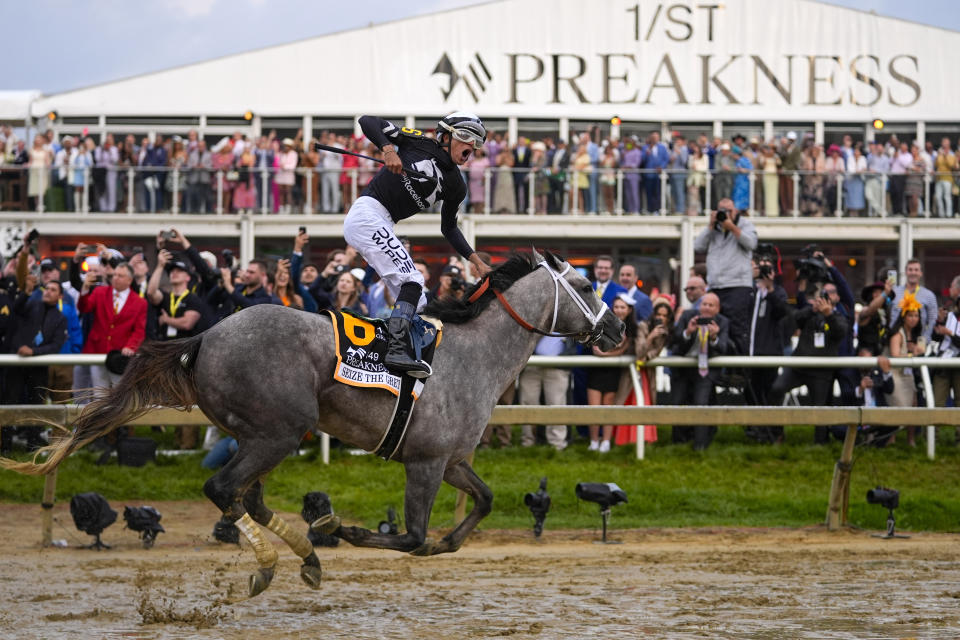 Jaime Torres, atop Seize The Grey, reacts after crossing the finish line to win the Preakness Stakes horse race at Pimlico Race Course, Saturday, May 18, 2024, in Baltimore. (AP Photo/Julio Cortez)