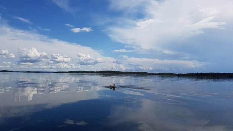 'My ideal day': Dionne Tatlow swims across Lac La Ronge, Saskatchewan