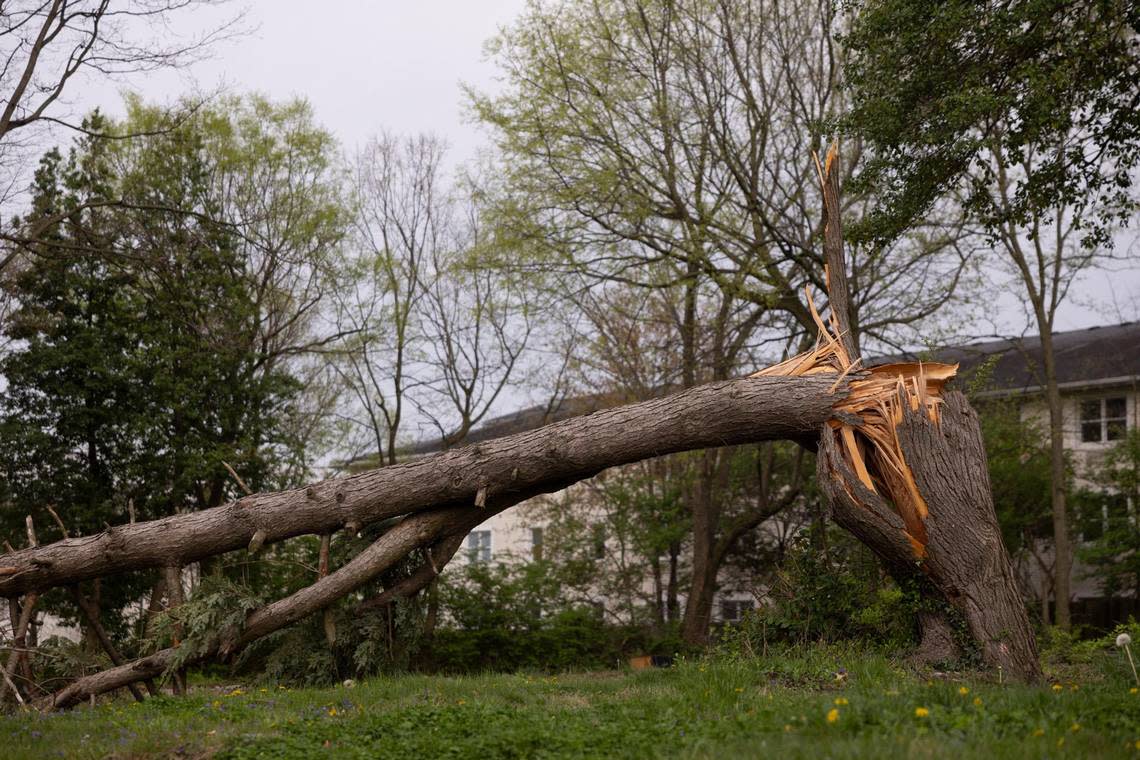 Storm damage near the University of Kentucky camps in Lexington, Ky, Tuesday, April 2, 2023.