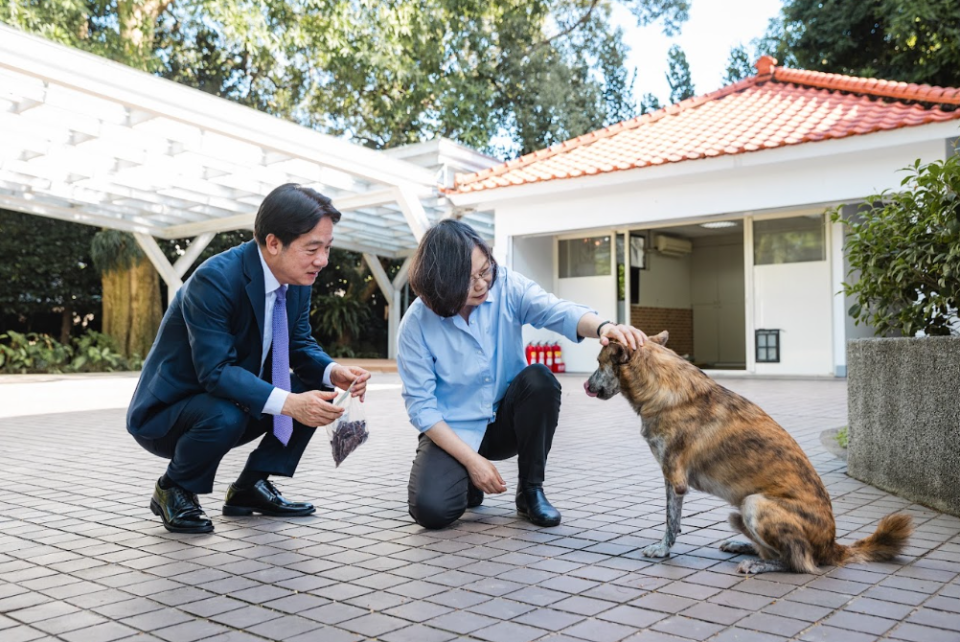  前總統蔡英文赴官邸拜會總統賴清德，並與賴的愛犬互動。 圖：總統府提供 