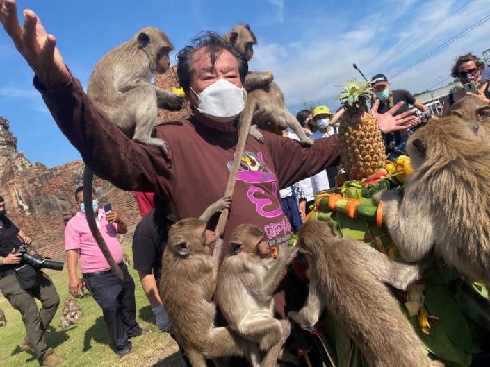 Annual Monkey Festival resumes in Thailand's Lopburi province