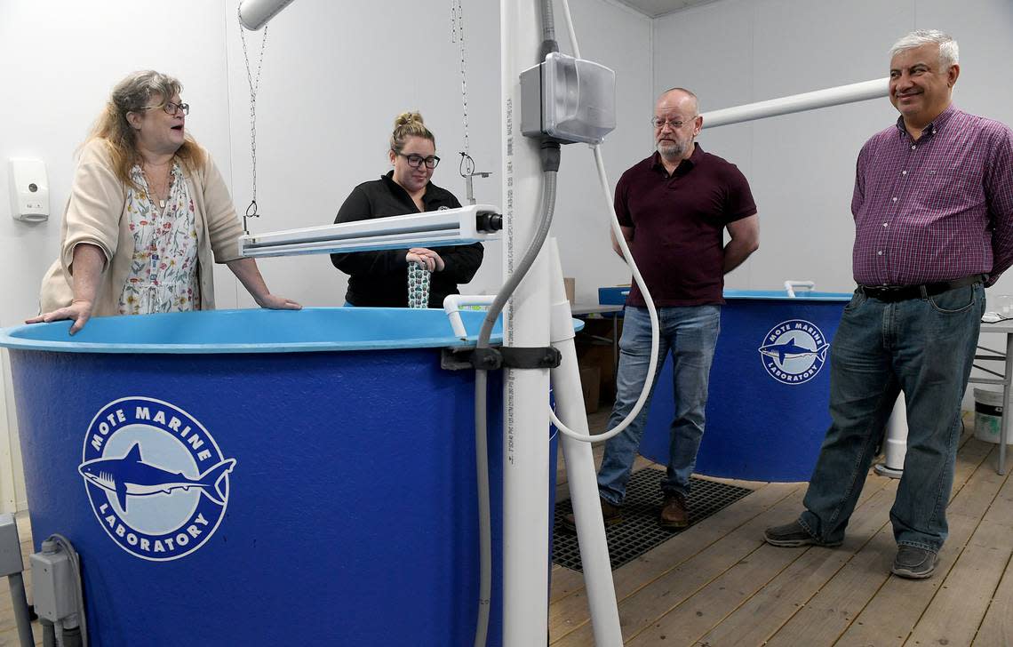 From left: Cynthia Heil, Dir. of Mote Marine’s Red Tide Institute, Sarah Klass, staff biologist with visiting scientists Jamie Lead and Amjed Alabresm from Univ. of South Carolina in one of the research labs at Mote Marine’s research facility in Sarasota on Monday, March 21, 2023.