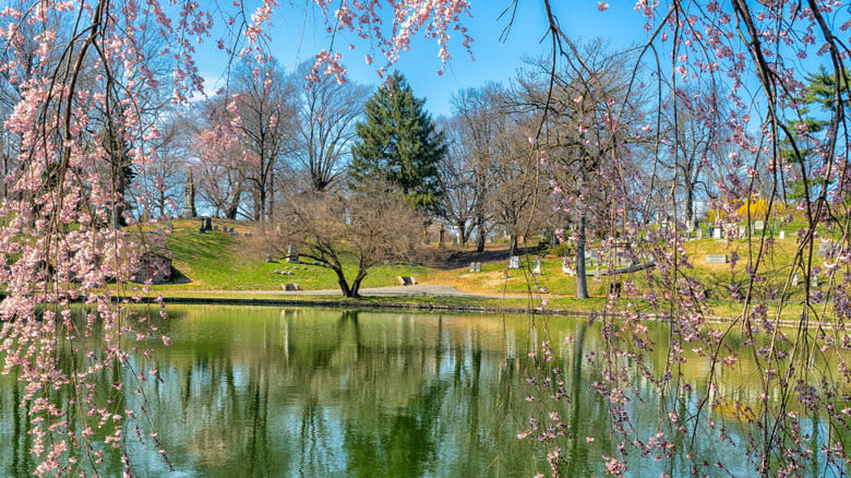 green-wood cemetery pond