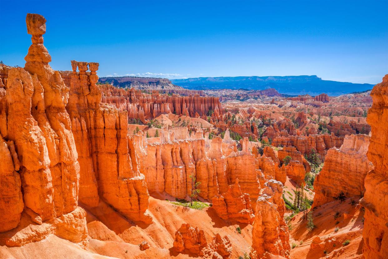 Aerial of Bryce Canyon National Park, Utah on a sunny day