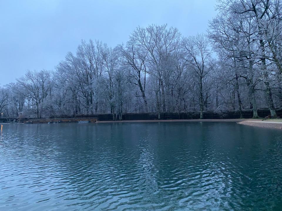 Ice blankets over Memphis and the Mid-South on Tuesday, Jan. 31, 2023. Ice covers all the trees at Overton Park.