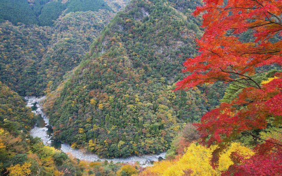 Iya Valley, Japan