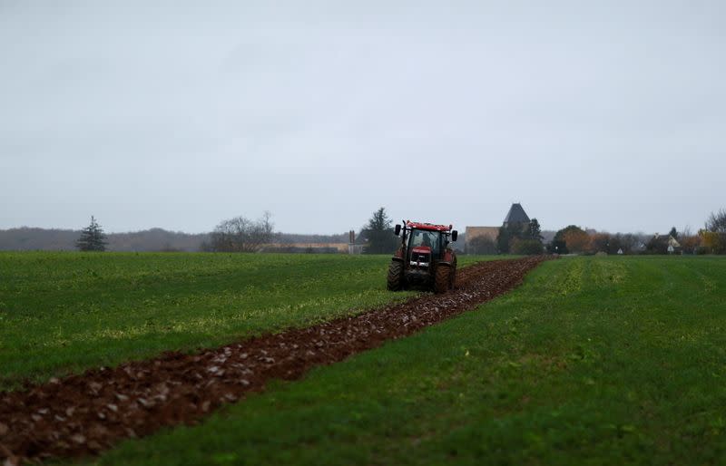 FILE PHOTO: French farmer Alix Heurtaut at her family farm in Villeneuve-sur-Auvers near Paris